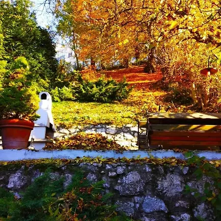 Charming Aga's No.1 *