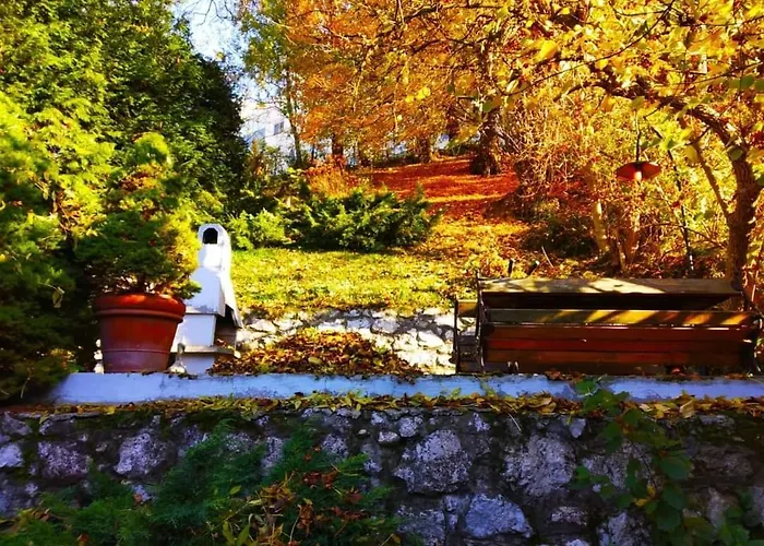 Charming Aga's No.1 *